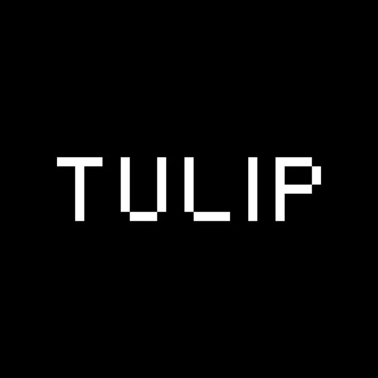 Tulip