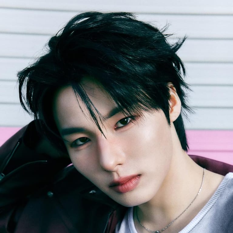 Won Hyuk (E’LAST)