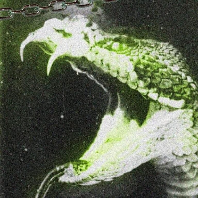 Zuk (BRA)