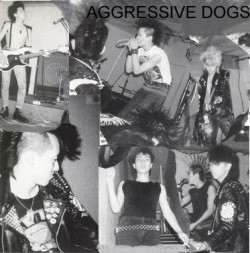Aggressive Dogs