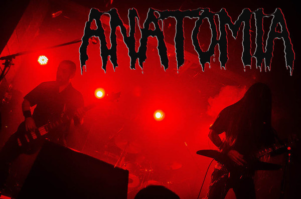 Anatomia