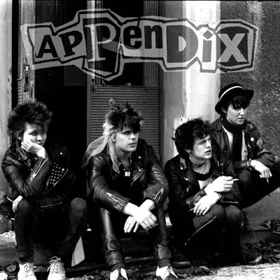 Appendix (4)