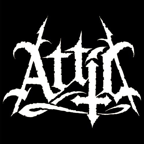Attic (7)