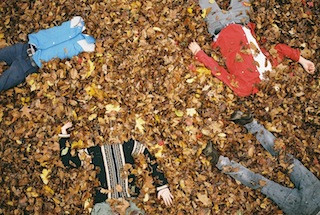 Bed Rugs
