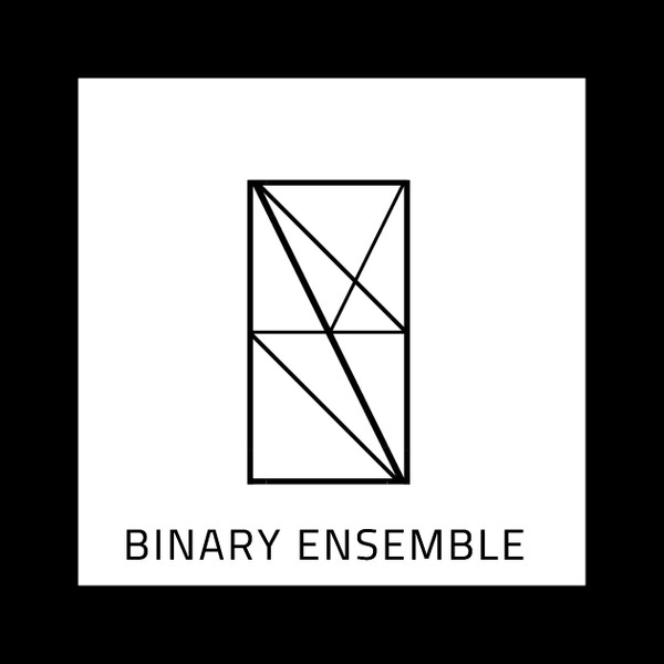 Binary Ensemble