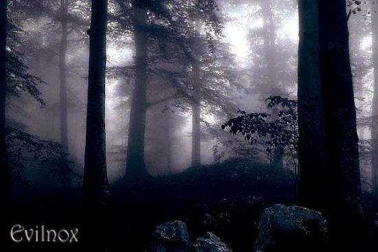 Evilnox
