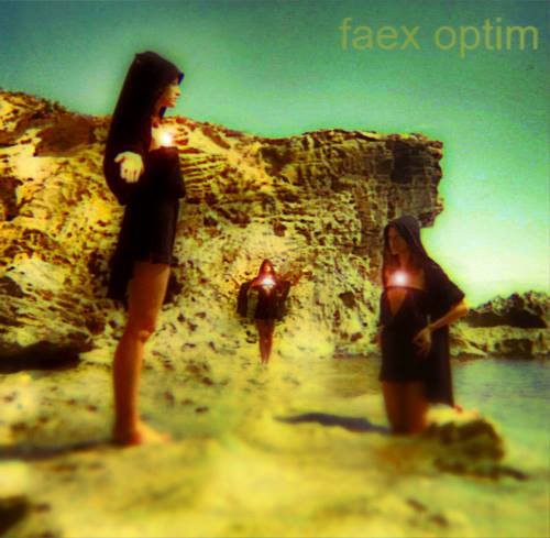 Faex Optim
