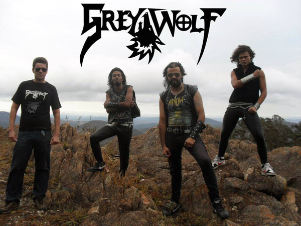 Grey Wolf (2)