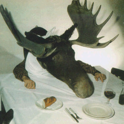 H.N.A.S.