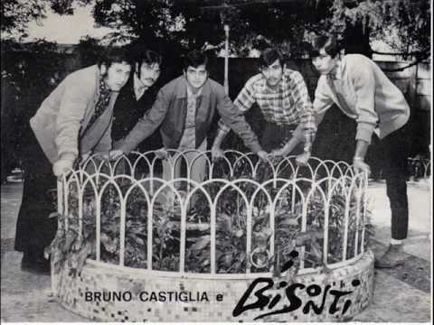 I Bisonti