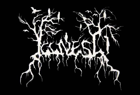 Illness (5)