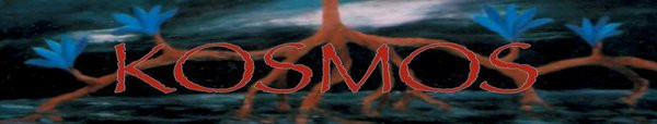 Kosmos (7)