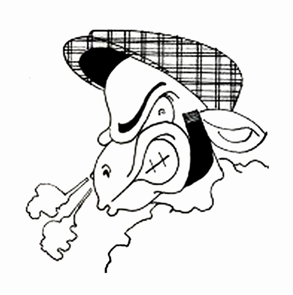 Lammkotze