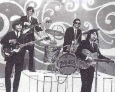 Los Zignos