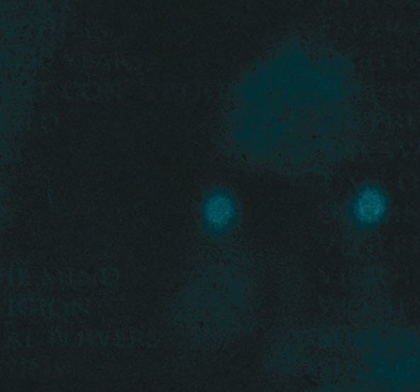 Luminance (2)