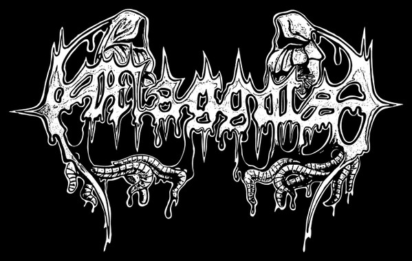 Maggots