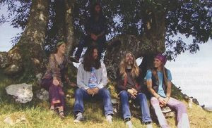 Magic Bus (3)