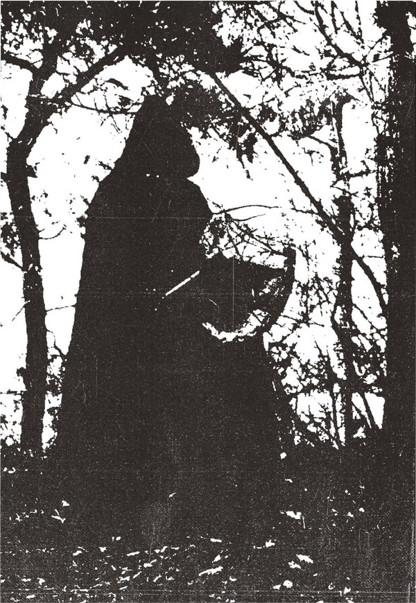 Nortfalke