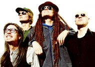 Pelle Miljoona & Rockers