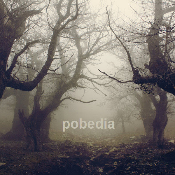Pobedia