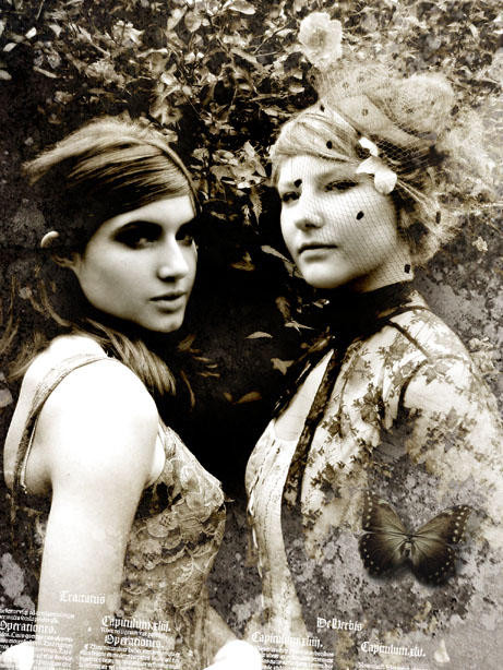 Smoke Fairies