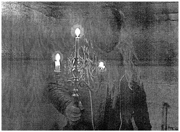 Spectral Kingdom