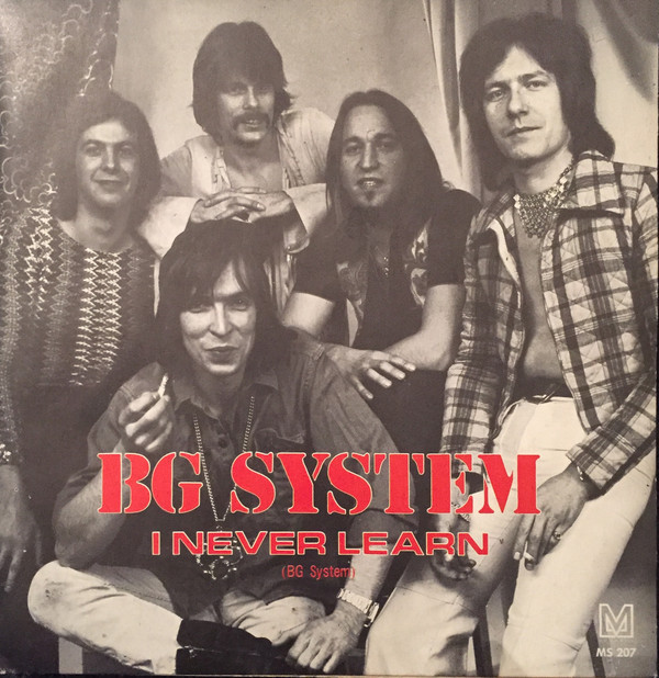 The B-G System