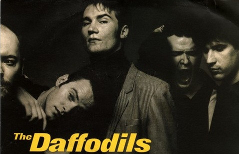 The Daffodils