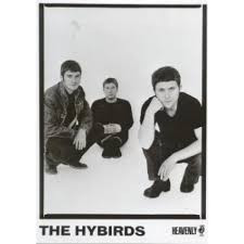 The Hybirds