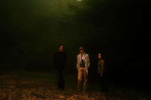 The Lickets