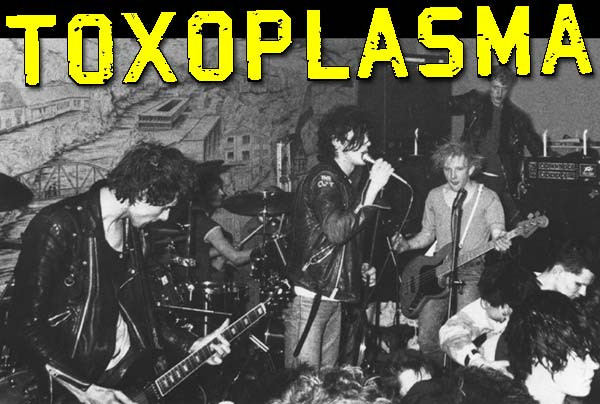 Toxoplasma