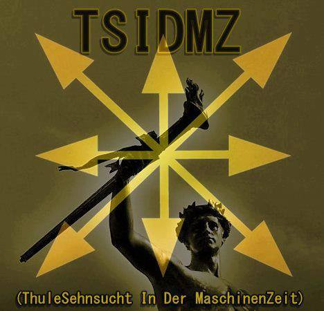 TSIDMZ
