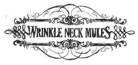 Wrinkle Neck Mules