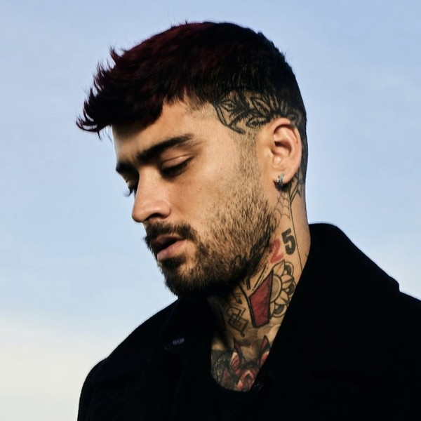 ZAYN (3)