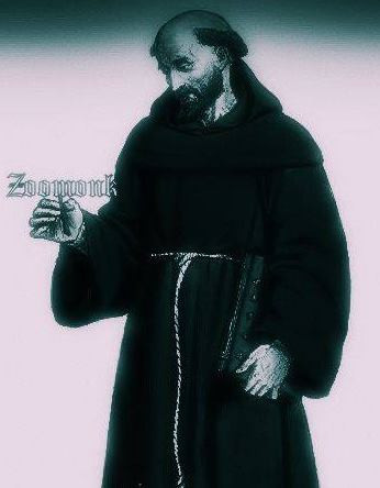 Zoomonk