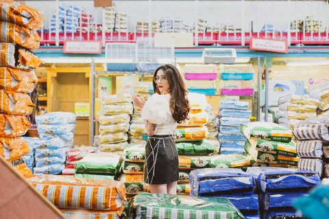 Zuzu: Party like it's 2019