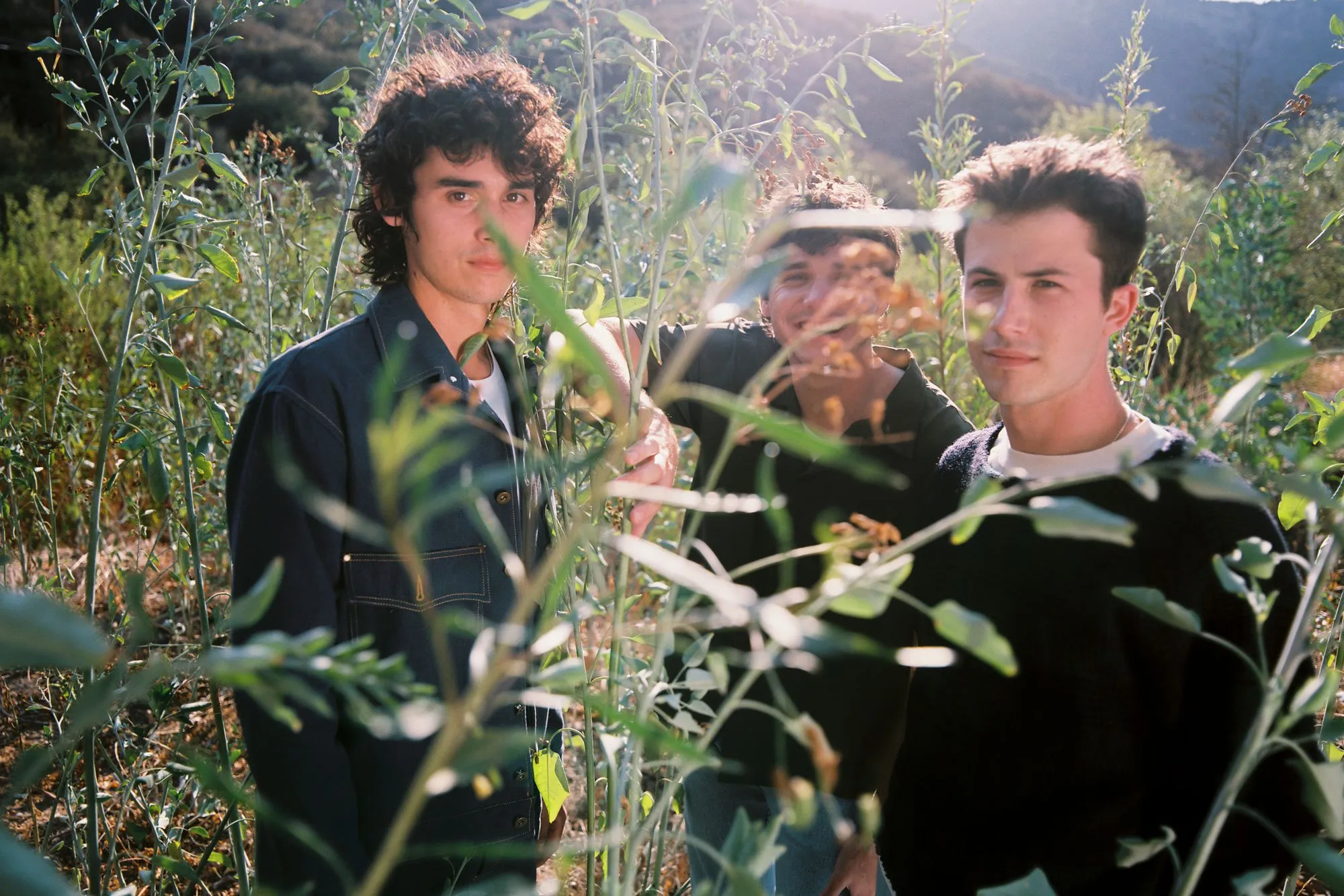 Wallows: “It’s bold. Some people might be like, what is happening here? Have they lost the plot?”