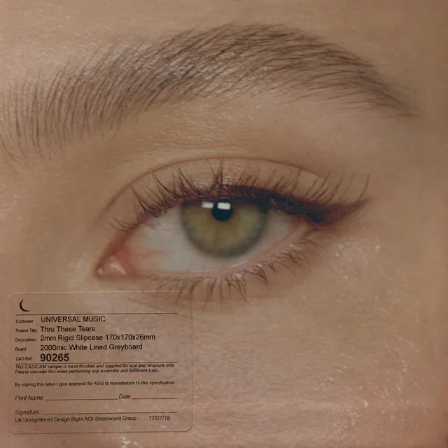 The Cut: The 1975, Drenge, Spring King and more