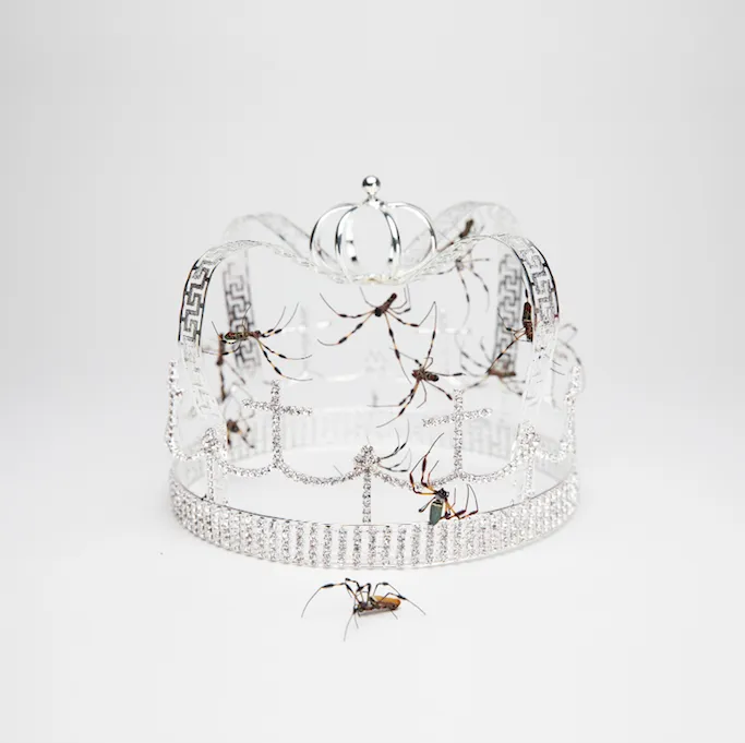 The Cut: The 1975, Drenge, Spring King and more