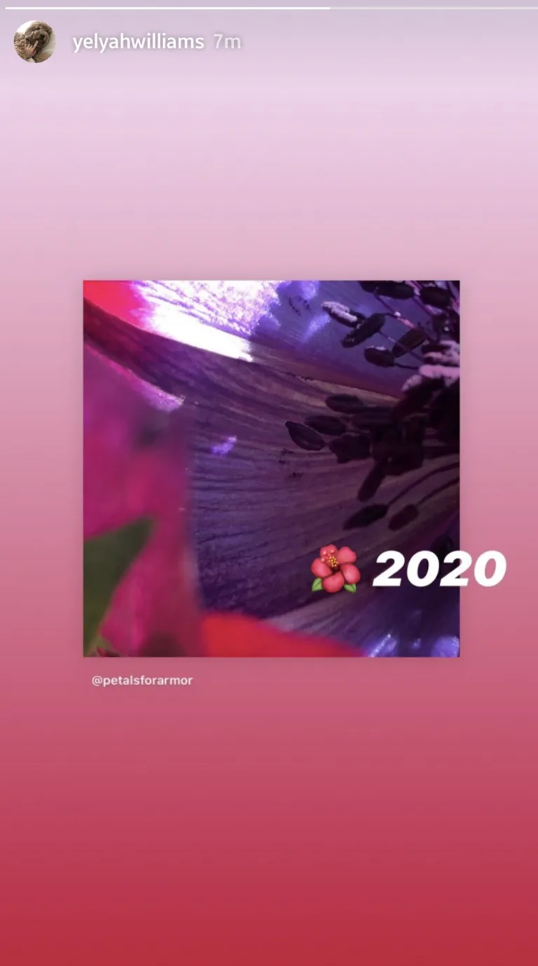 Hayley Williams from Paramore has a new project, and there's teasing happening 'online' now