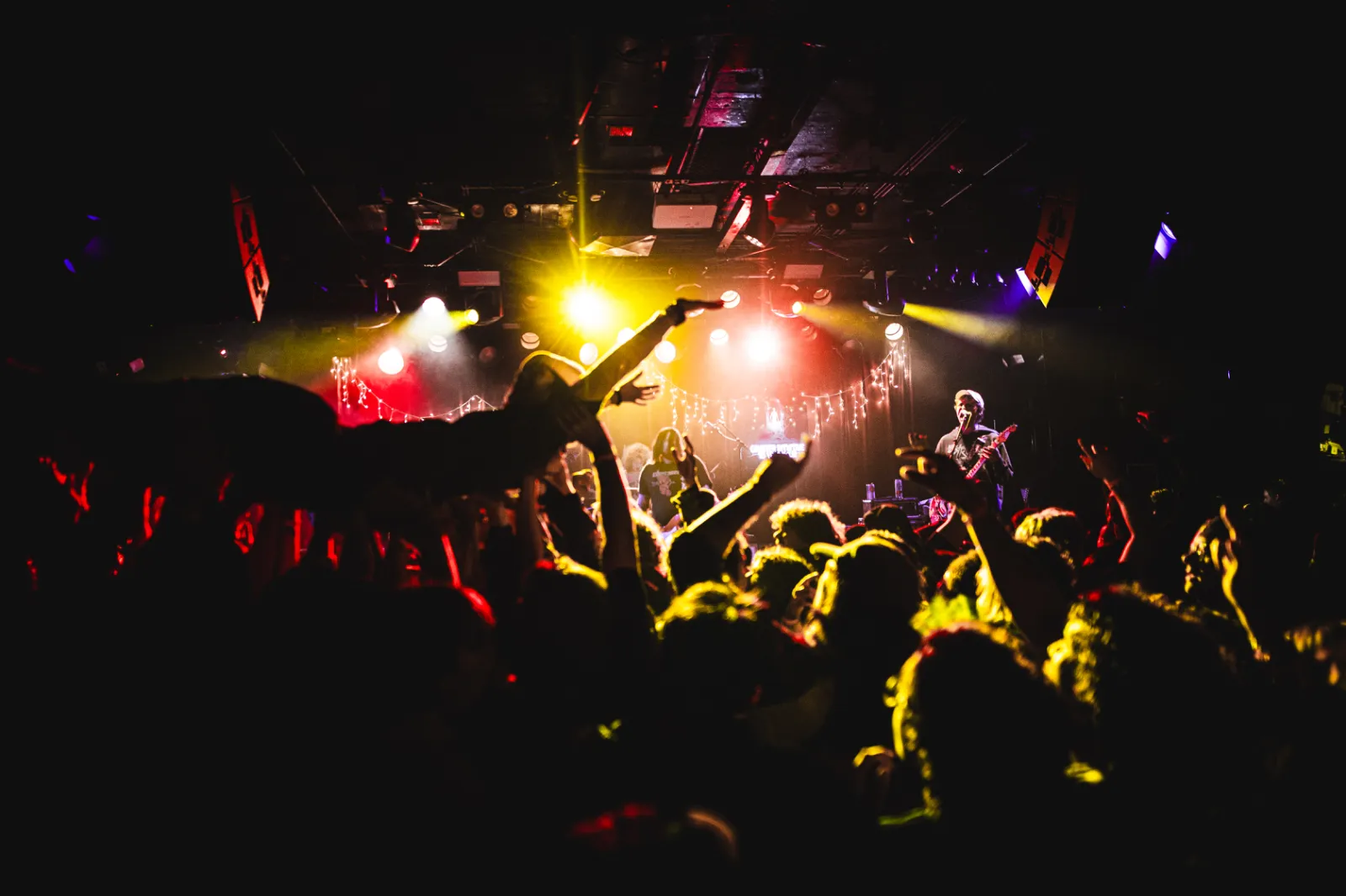 pdaddy live 4.jpg