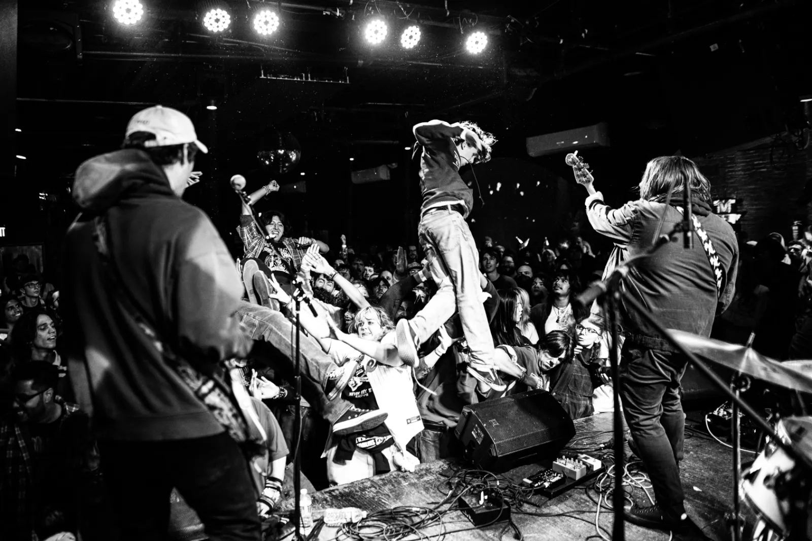 pdaddy live 1.jpg