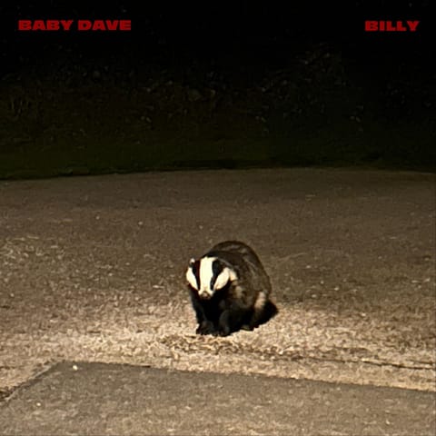 Baby Dave - billy