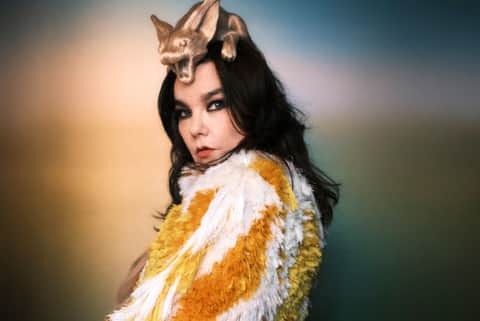 Björk has opened a major new exhibition at the National Gallery of Iceland
