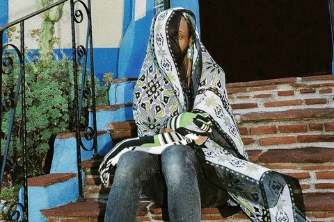 JPEGMAFIA and Danny Brown are releasing a joint album this year