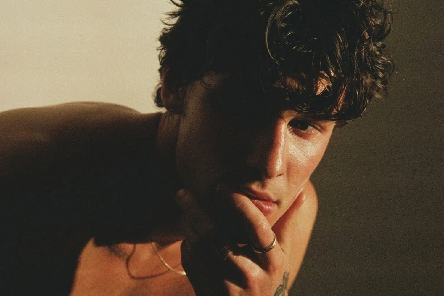 Shawn Mendes has released his new single, 'When You're Gone'