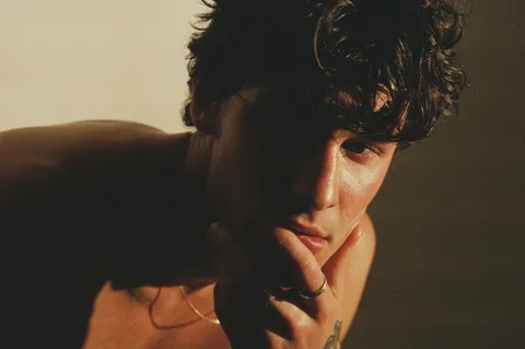 Shawn Mendes has released his new single, 'When You're Gone'