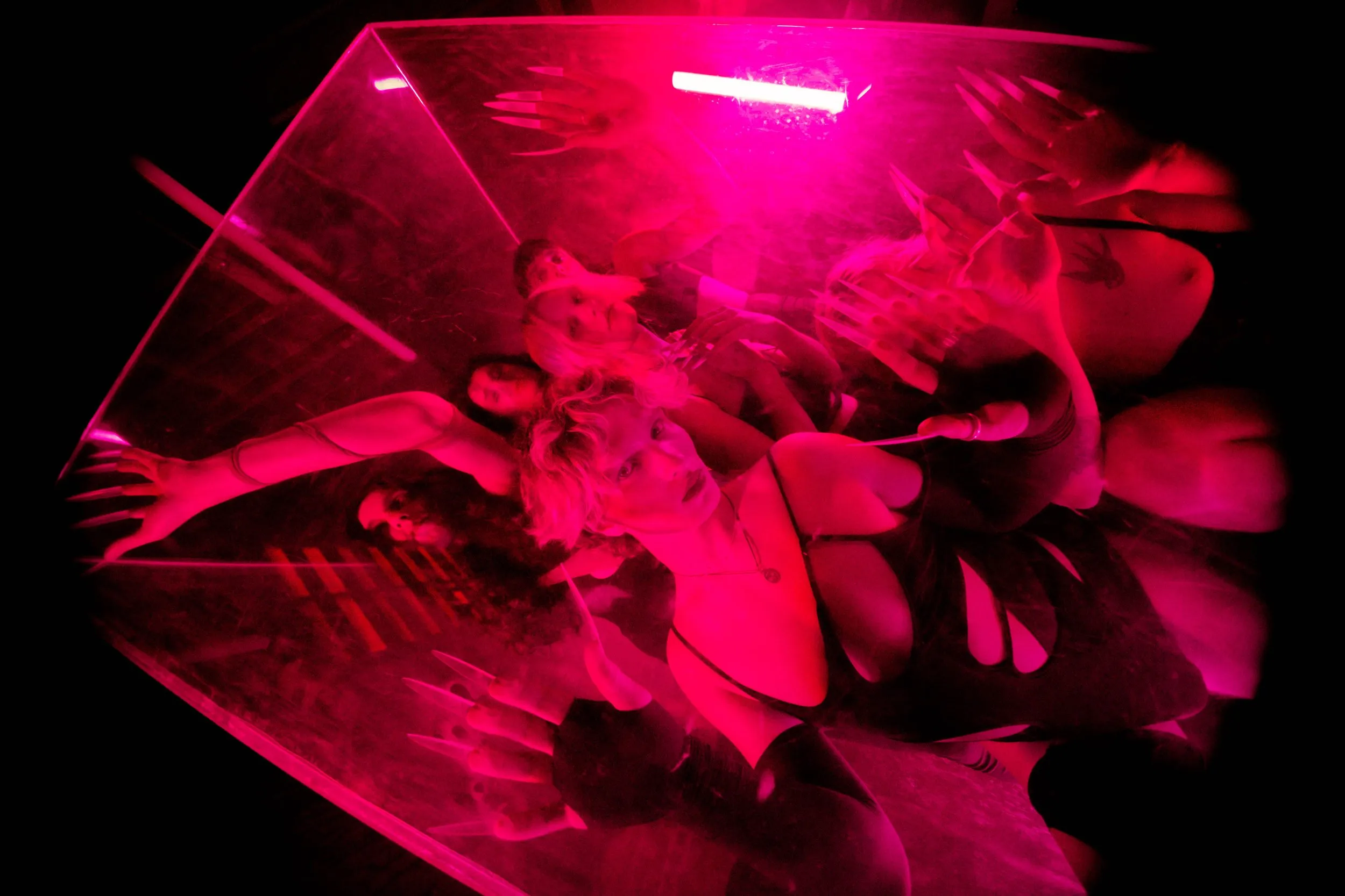 Walt Disco have dropped their brilliant debut album, 'Unlearning' - listen