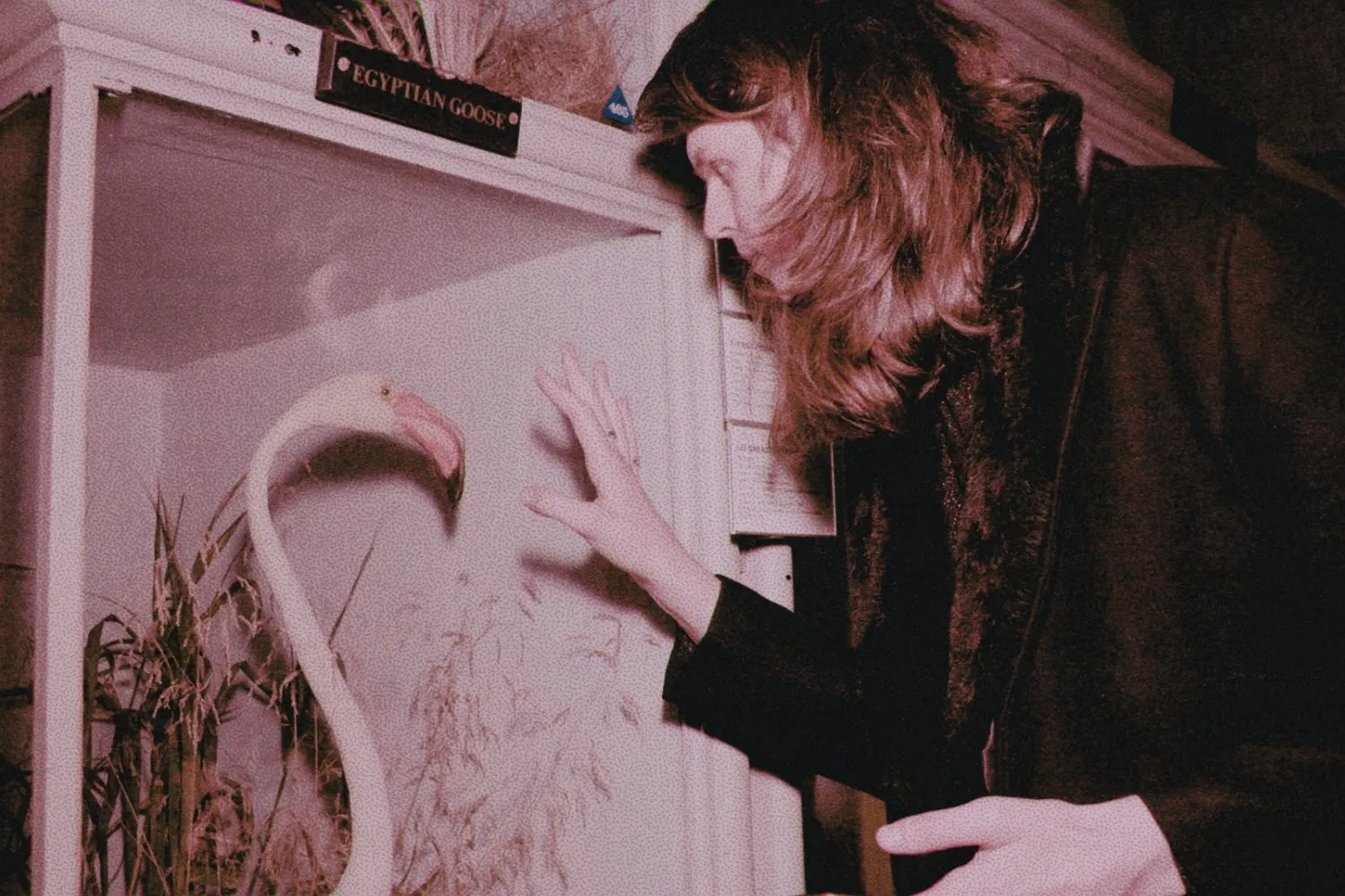 Nancy has shared a new single, ‘English Leather’ - the title track of his upcoming album