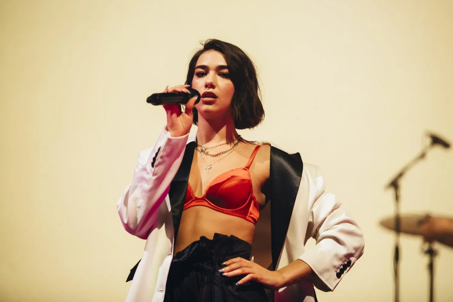 Dua Lipa, Tyler The Creator, Haim, IDLES and more are playing Roskilde 2022